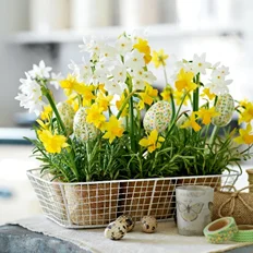 Use-fragrant-spring-florals-to-create-a-pretty-centerpiece